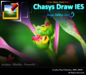 رسم Chasys IES 5.31.01