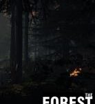ملف تختيم THE FOREST: SAVEGAME (ACHIEVEMENT VEGAN)