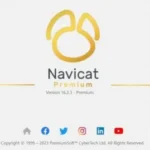 Navicat Premium 17.0.8