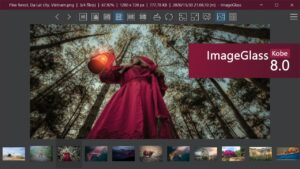 ImageGlass 9.1.8.723 + Portable