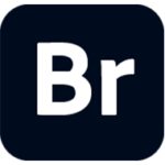 تحميل برنامج Bridge 2025 15.0.2.432