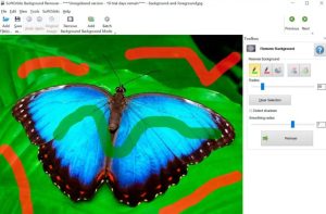 SoftOrbits Photo Background Remover Free License- Remove or Add Background to Photos