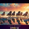 Fly Photos 2.6.2