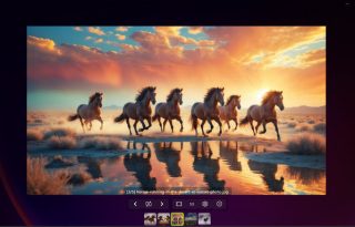 Fly Photos 2.6.1