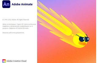 Adobe Animate 2024 v24.0.14