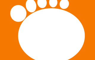 GOM Player 2.3.121 Build 5391