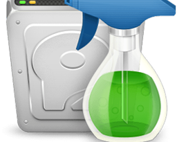 Wise Disk Cleaner 11.3.9.859 + Portable